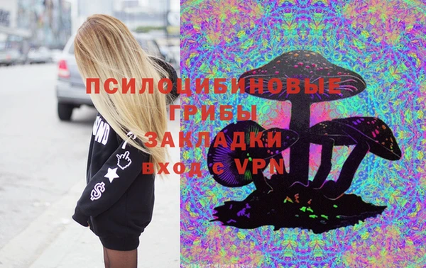 бошки Бородино