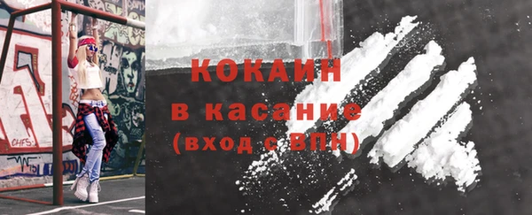бошки Бородино