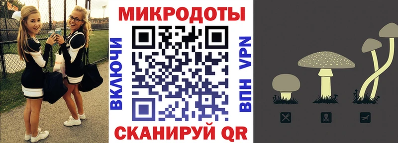 Псилоцибиновые грибы Magic Shrooms  купить закладку  мориарти формула  Городец 