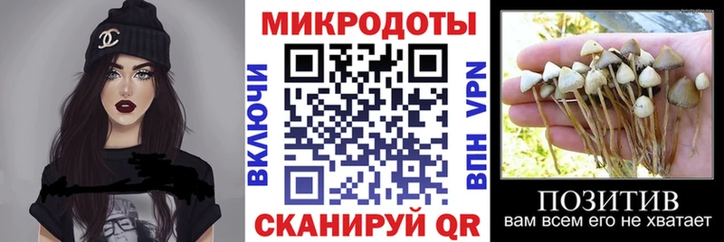 Галлюциногенные грибы GOLDEN TEACHER Городец